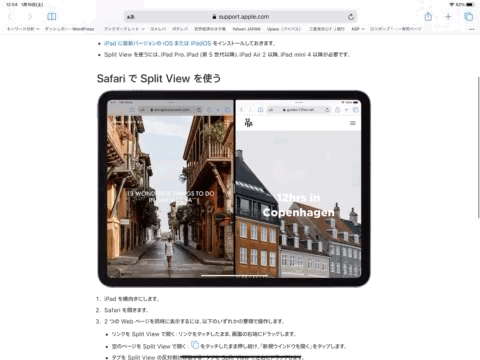 iPad Split View 解除方法